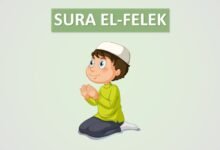 06 sura felek