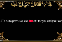 079. surah an nazi'aat (those who pull out)