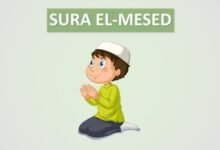 08 sura mesed