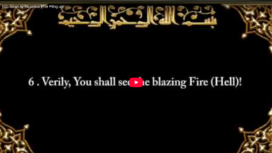 102. surah at takaathur (the piling up)