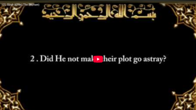 105. surah al feel (the elephant)