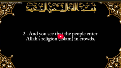 110. surah an nasr (the help)