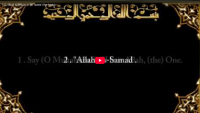 113. surah al falaq (the daybreak)