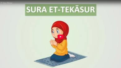 17. sura tekasur
