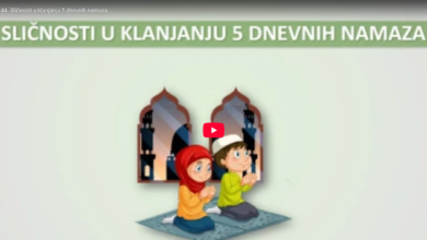 44. sličnosti u klanjanju 5 dnevnih namaza