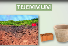 47. tejemmum