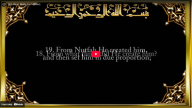 80. surah abasa (he frowned)