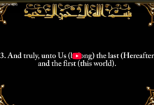 92. surah al lail (the night)