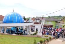 Img 0431 min 1024x683