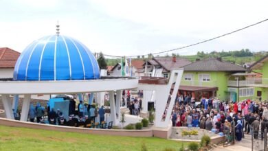 Img 0431 min 1024x683