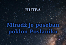 Miradž je poseban poklon poslaniku