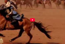 Rijekama ka zapadu 12. epizoda