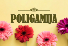 Višeženstvo (poligamija)