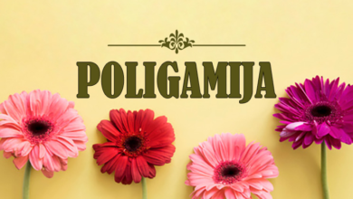 Višeženstvo (poligamija)