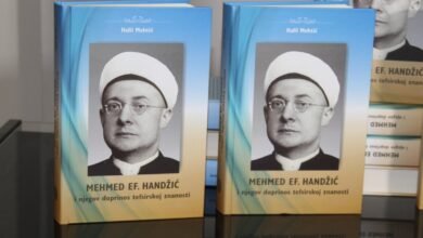 Images 2016 januar april2019 img 3422