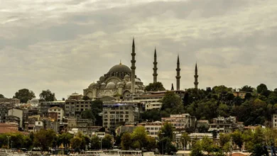 Velika sulemanija 1 1