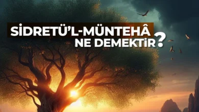 Sidretul munteha ne demektir