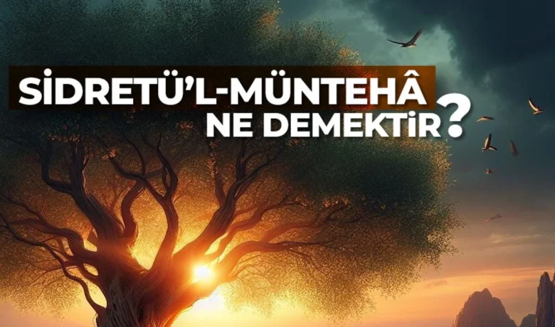 Sidretul munteha ne demektir